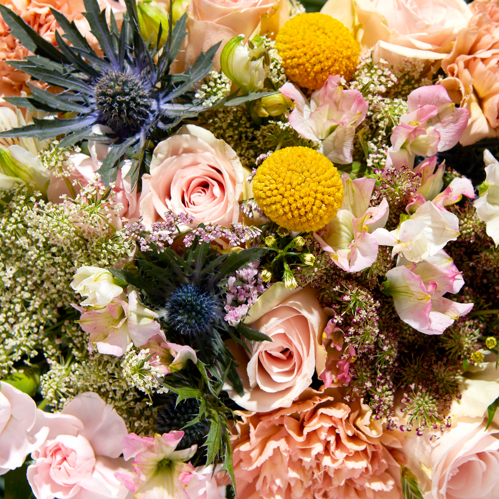 Bloom & Wild:The Dara Bouquet