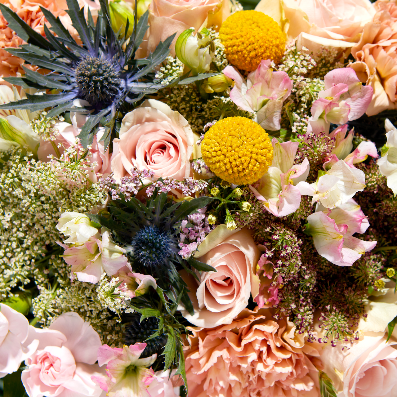 Bloom & Wild:The Dara Bouquet