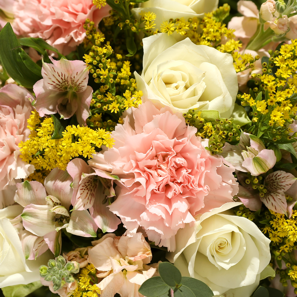 Bloom & Wild:The Florian Bouquet