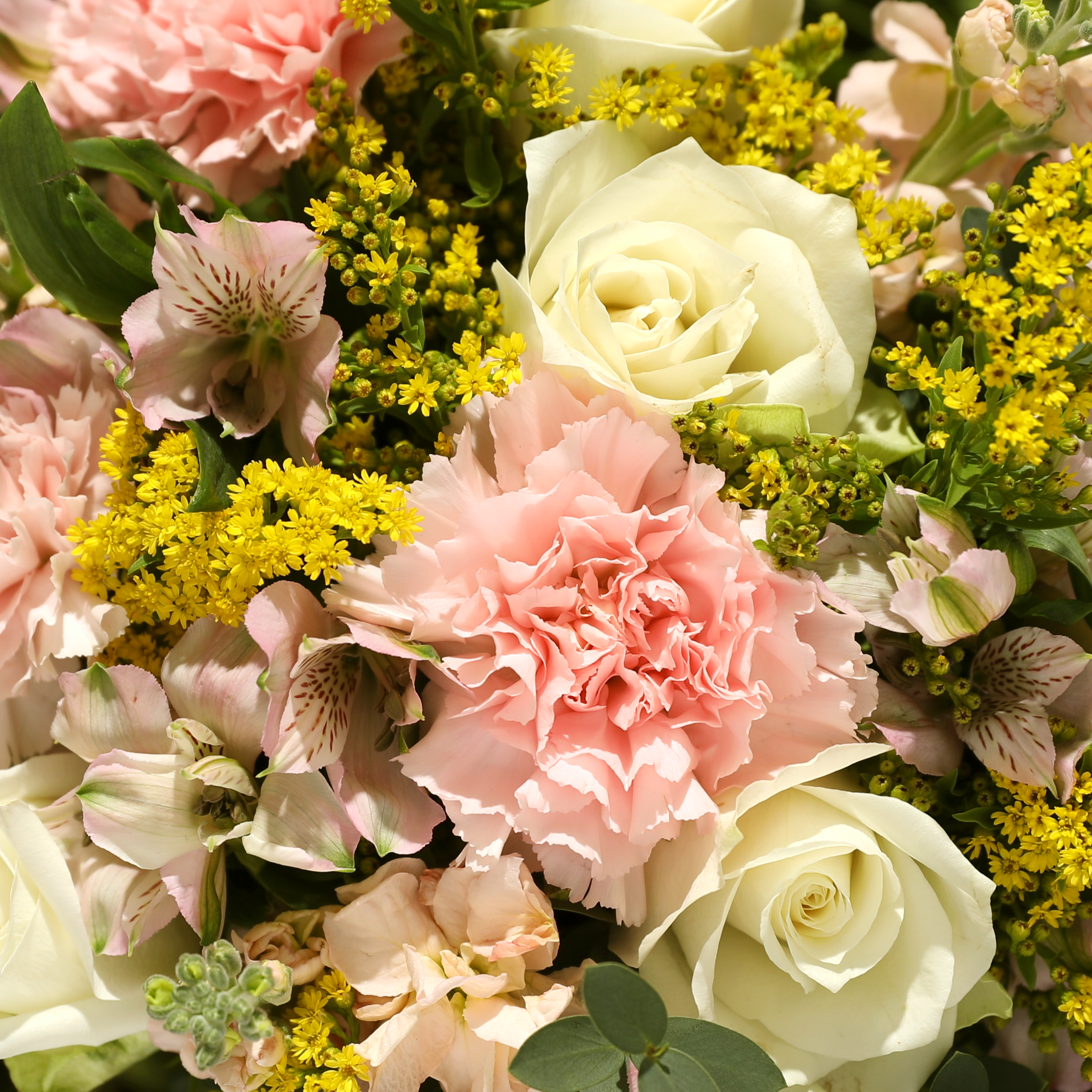 Bloom & Wild:The Florian Bouquet